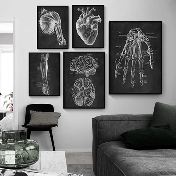 Произведение искусства Анатомии человека, Настенное изображение медицинской клиники, Скелет, орган, Мышечная система, Винтажный плакат на холсте для обучения телу