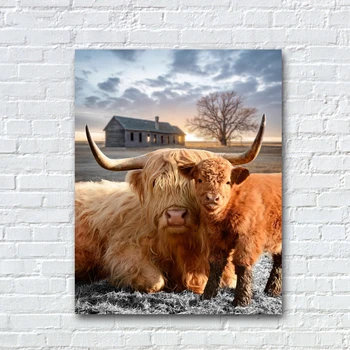 Горный скот Холст Настенное искусство Изображение с животным Принтом Горный Пушистый скот Фото Картина на ферме