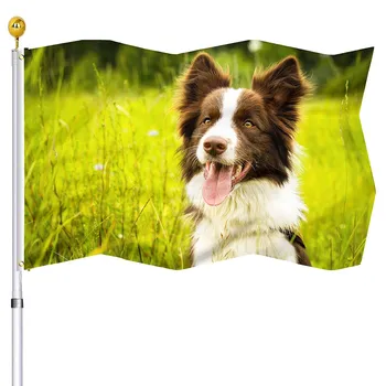 Собака Бордер-колли, Садовый флаг, домик для вечеринки, украшения для гостиной на открытом воздухе, флаги с латунной петлицей для женщин, подарки для мужчин